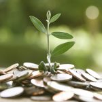 A Level Online in Economics CIE