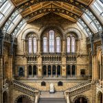 A Level Online in History CIE