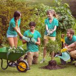 IGCSE Sociology CIE Online Course