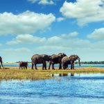 IGCSE Travel and Tourism CIE Online Course