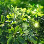 A Level Biology Online Course CIE