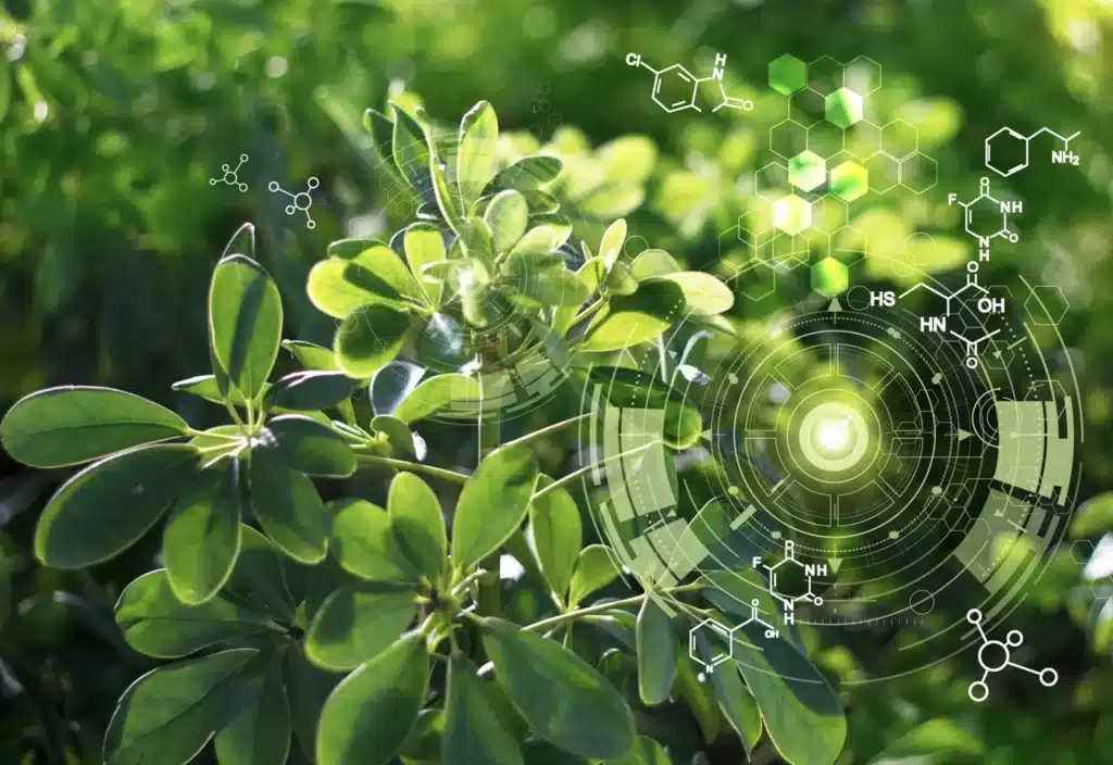 A Level Biology Online Course