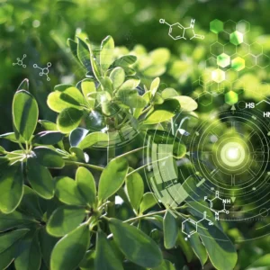 A Level Biology Online Course