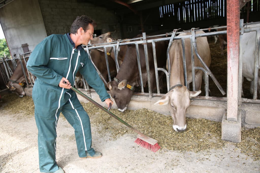 Animal Welfare