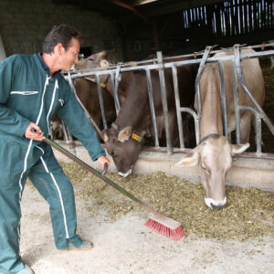 Animal Welfare