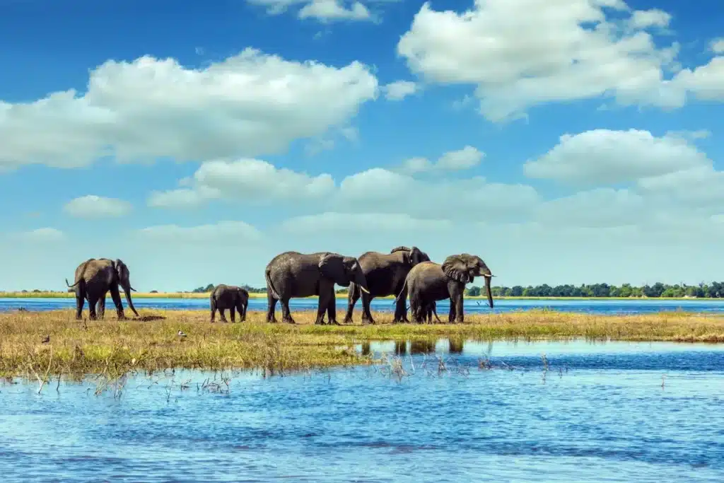 IGCSE Travel and Tourism Online Course